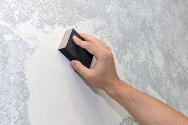 Best Attic Mold Removal  in Groveland, FL