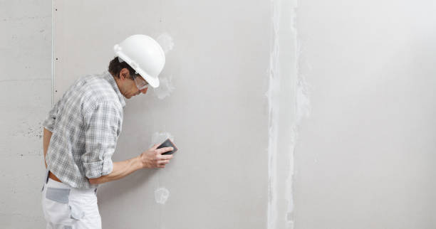Groveland, FL Mold Removal Company