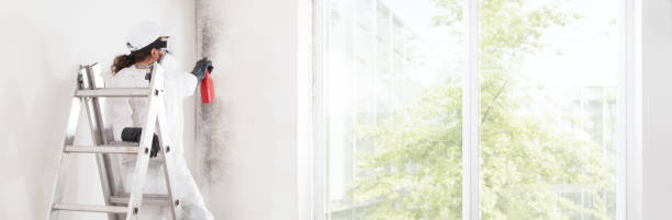 Best Real Estate Mold Inspection  in Groveland, FL